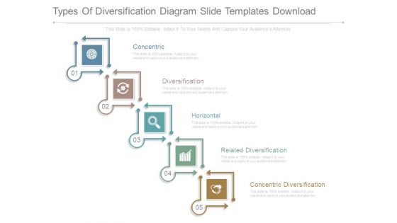 Types Of Diversification Diagram Slide Templates Download