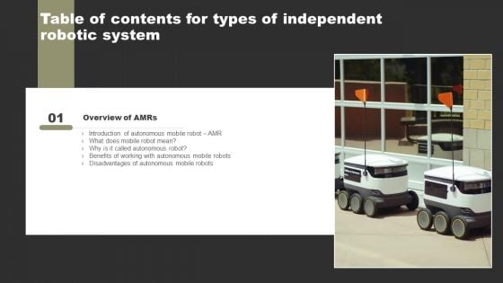 Types Of Independent Robotic System Table Of Contents Designs PDF