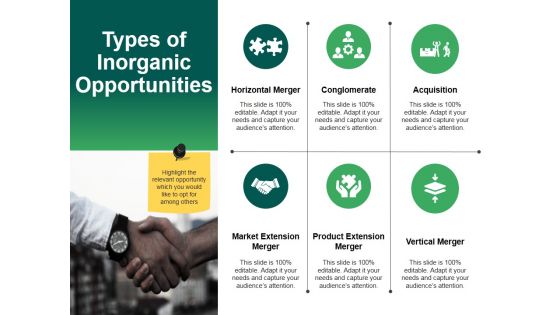 Types Of Inorganic Opportunities Template 2 Ppt PowerPoint Presentation Infographics Example