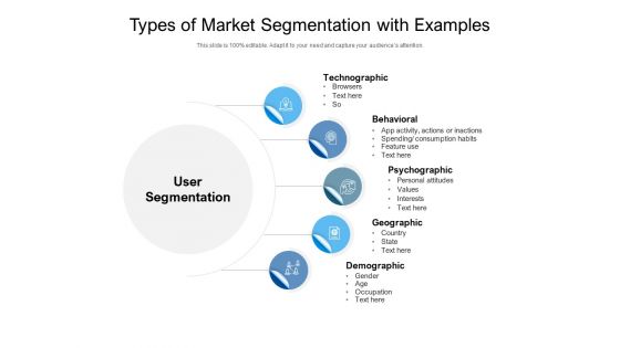 Types Of Market Segmentation With Examples Ppt PowerPoint Presentation File Example File PDF