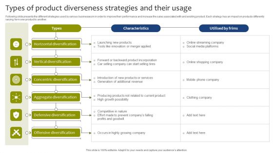 Types Of Product Diverseness Strategies And Their Usage Background PDF