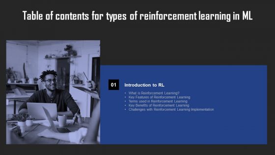 Types Of Reinforcement Learning In ML Table Of Contents Diagrams PDF