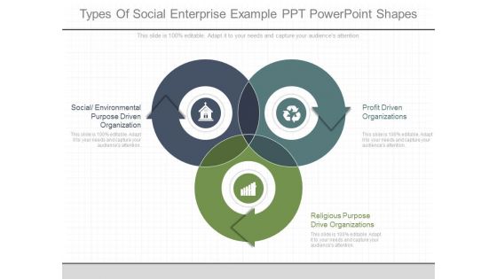 Types Of Social Enterprise Example Ppt Powerpoint Shapes