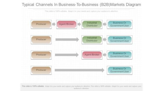 Typical Channels In Business To Business B2b Markets Diagram