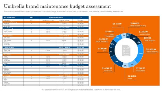 Umbrella Brand Maintenance Budget Assessment Ppt PowerPoint Presentation Diagram Lists PDF