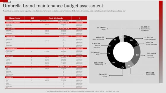 Umbrella Branding Measures To Boost Brand Awareness Umbrella Brand Maintenance Budget Assessment Icons PDF