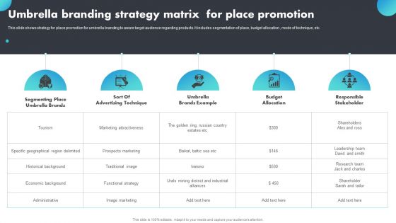 Umbrella Branding Strategy Matrix For Place Promotion Download PDF