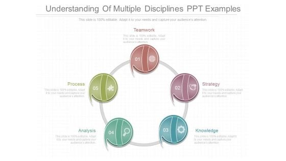 Understanding Of Multiple Disciplines Ppt Examples