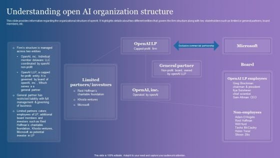 Understanding Open AI Organization Structure Summary PDF