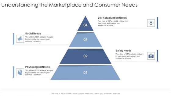 Understanding The Marketplace And Consumer Needs Social Startup Business Strategy Ppt Model Skills PDF