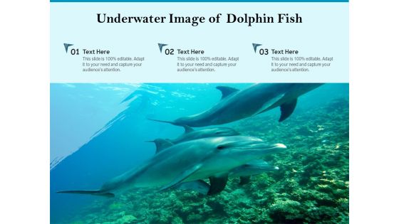 Underwater Image Of Dolphin Fish Ppt PowerPoint Presentation Gallery Deck PDF