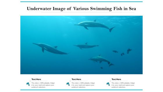 Underwater Image Of Various Swimming Fish In Sea Ppt PowerPoint Presentation Gallery Master Slide PDF