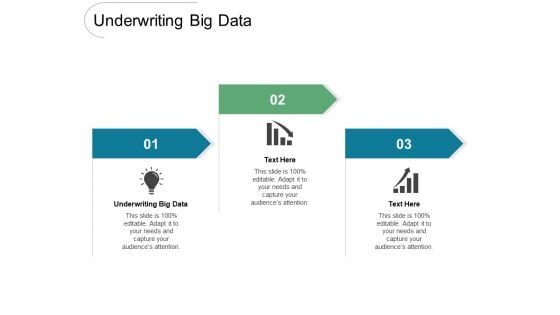 Underwriting Big Data Ppt PowerPoint Presentation Infographics Examples Cpb Pdf