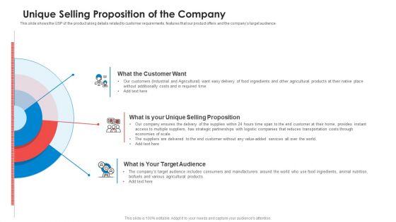 Unique Selling Proposition Of The Company Designs PDF