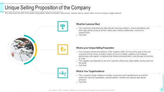 Unique Selling Proposition Of The Company Summary PDF