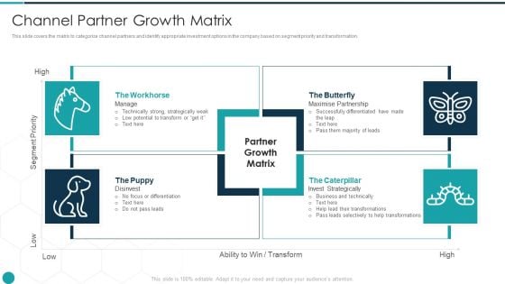 Upgrade Management Of Complex Business Associates Channel Partner Growth Matrix Download PDF