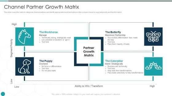 Upgrade Management Of Complex Business Associates Channel Partner Growth Matrix Download PDF Upgrade Management Of Complex Business Associates Channel Partner Growth Matrix Download PDF
