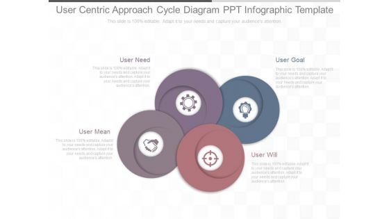 User Centric Approach Cycle Diagram Ppt Infographic Template