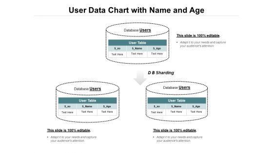 User Data Chart With Name And Age Ppt PowerPoint Presentation Summary Structure PDF