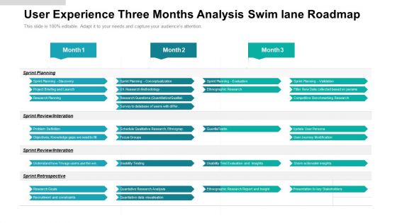 User Experience Three Months Analysis Swim Lane Roadmap Demonstration