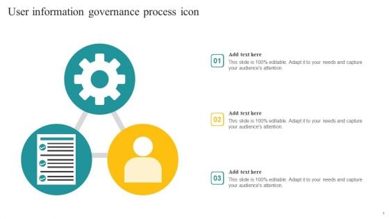 User Information Governance Process Icon Ppt Show Slides PDF