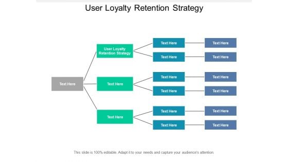 User Loyalty Retention Strategy Ppt PowerPoint Presentation Layouts Display