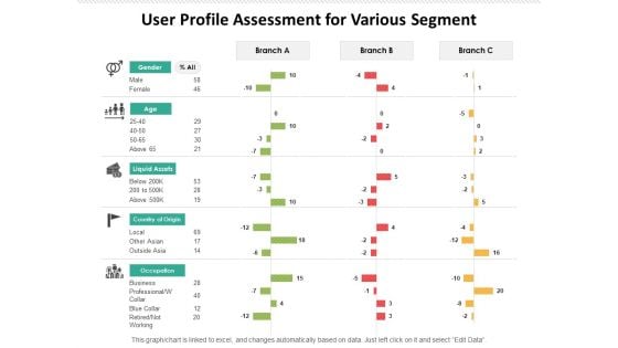 User Profile Assessment For Various Segment Ppt PowerPoint Presentation Icon Microsoft PDF