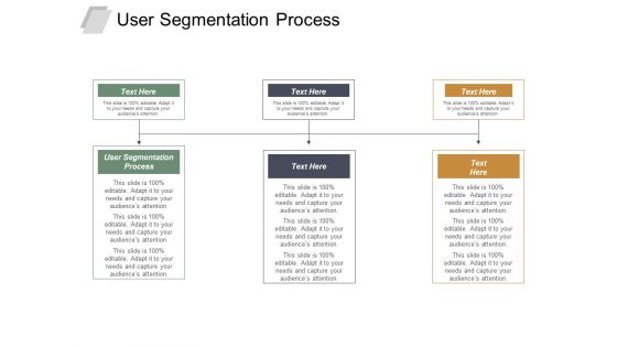 User Segmentation Process Ppt PowerPoint Presentation Outline Skills Cpb