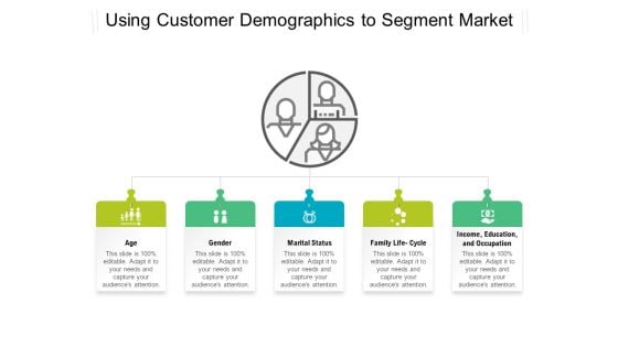 Using Customer Demographics To Segment Market Ppt PowerPoint Presentation File Graphic Images PDF