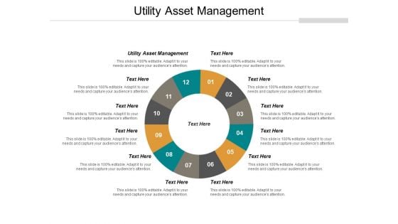 Utility Asset Management Ppt PowerPoint Presentation Pictures Diagrams Cpb