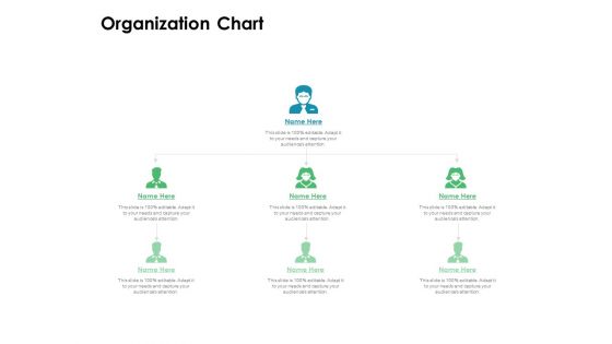 Value Creation Initiatives Organization Chart Ppt Infographic Template Graphics Download PDF