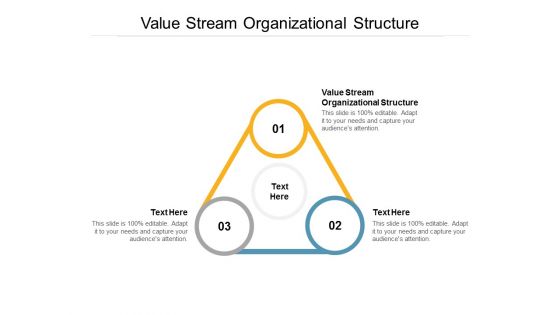Value Stream Organizational Structure Ppt PowerPoint Presentation Show Inspiration Cpb