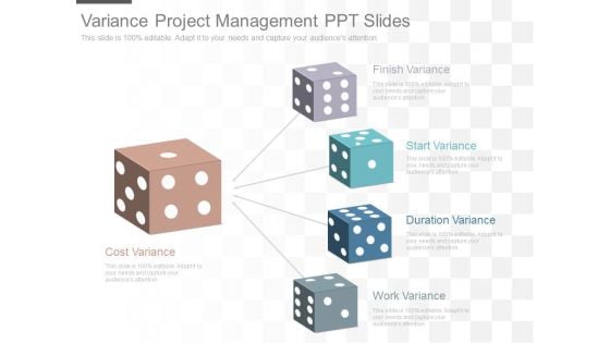 Variance Project Management Ppt Slides