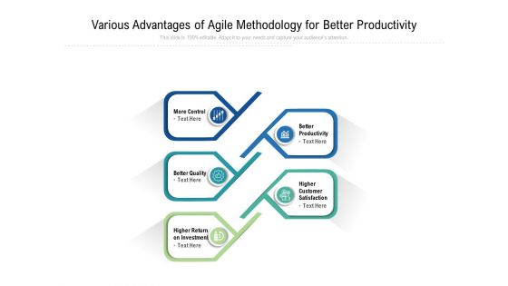 Various Advantages Of Agile Methodology For Better Productivity Ppt PowerPoint Presentation Infographic Template Icon PDF