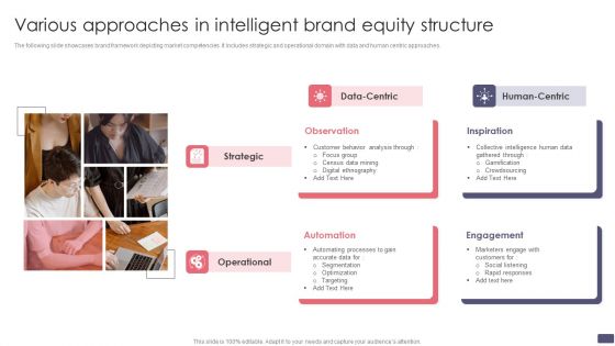 Various Approaches In Intelligent Brand Equity Structure Professional PDF
