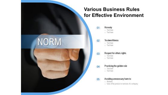 Various Business Rules For Effective Environment Ppt PowerPoint Presentation File Portrait PDF