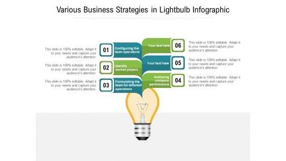 Various Business Strategies In Lightbulb Infographic Ppt PowerPoint Presentation Ideas Slideshow PDF