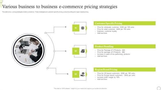 Various Business To Business E Commerce Pricing Strategies Template PDF