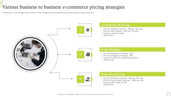 Various Business To Business E Commerce Pricing Strategies Template PDF