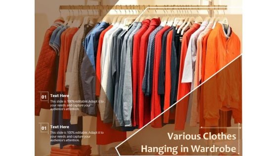 Various Clothes Hanging In Wardrobe Ppt PowerPoint Presentation Icon Show PDF