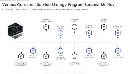 Various Consumer Service Strategy Program Success Metrics Designs PDF