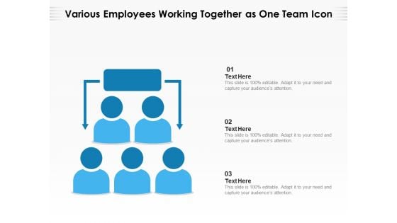 Various Employees Working Together As One Team Icon Ppt PowerPoint Presentation Professional Master Slide