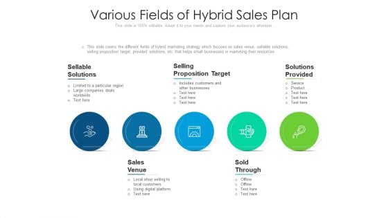 Various Fields Of Hybrid Sales Plan Ppt Inspiration Vector PDF