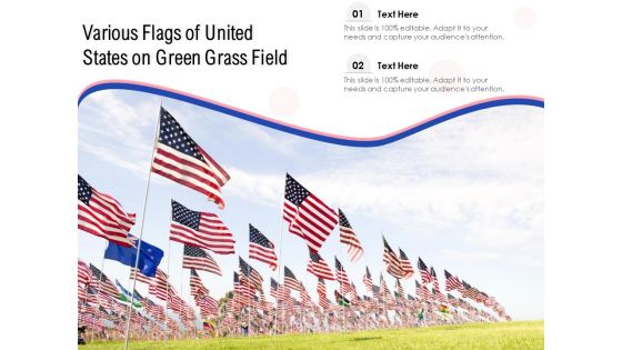 Various Flags Of United States On Green Grass Field Ppt PowerPoint Presentation Infographic Template Outline PDF