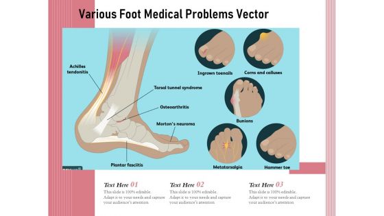 Various Foot Medical Problems Vector Ppt PowerPoint Presentation Professional Format PDF