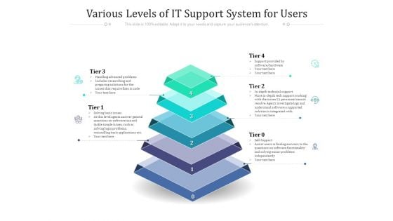 Various Levels Of IT Support System For Users Ppt PowerPoint Presentation Slides Graphics Download PDF