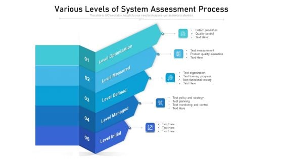 Various Levels Of System Assessment Process Ppt PowerPoint Presentation Pictures Summary PDF