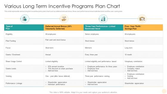 Various Long Term Incentive Programs Plan Chart Pictures PDF