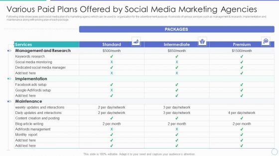 Various Paid Plans Offered By Social Media Marketing Agencies Ppt PowerPoint Presentation File Example PDF