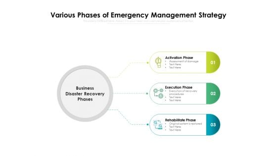 Various Phases Of Emergency Management Strategy Ppt PowerPoint Presentation Gallery Layout PDF